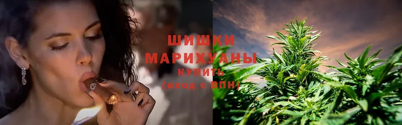 наркошоп  Москва  Каннабис SATIVA & INDICA 